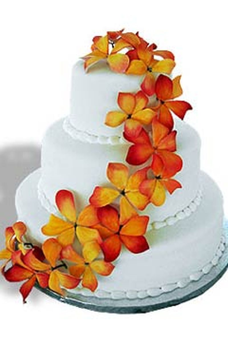Оранжевые свадебные торты - a1154